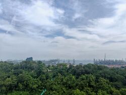 Normanton Park (D5), Apartment #594643291